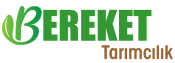 BEREKET TARIMCILIK SAN.VE TİC. A.Ş.