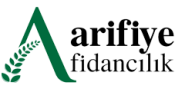 Arifiye Fidancılık