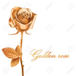 golden rose kozmetik