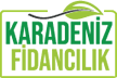 Karadeniz Fidancılık