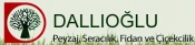 Dallıoğlu Peyzaj