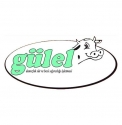 Gülel Hayvancılık