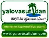 Yalova Su Fidan