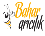 Bahar Arıcılık