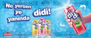 didi soğukçay çaykur expogi.com